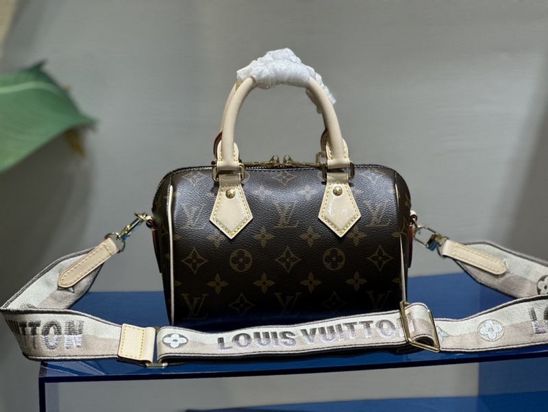 LV Handbags 497